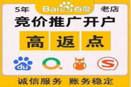 大型企业SEM外包实战案例